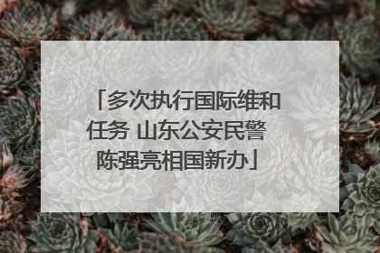 多次执行国际维和任务 山东公安民警陈强亮相国新办