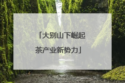 大别山下崛起茶产业新势力