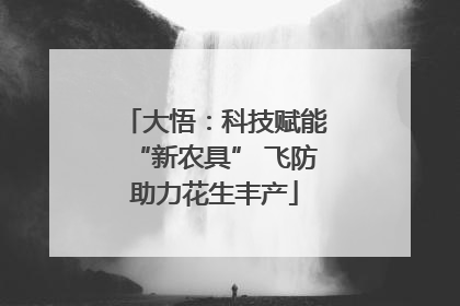 大悟：科技赋能“新农具” 飞防助力花生丰产