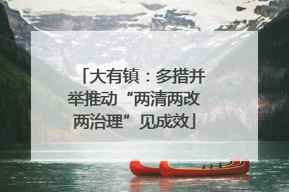 大有镇：多措并举推动“两清两改两治理”见成效