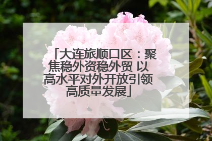 大连旅顺口区：聚焦稳外资稳外贸 以高水平对外开放引领高质量发展