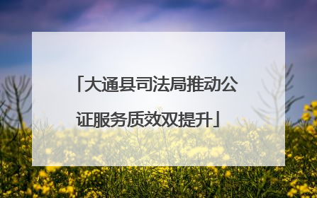 大通县司法局推动公证服务质效双提升