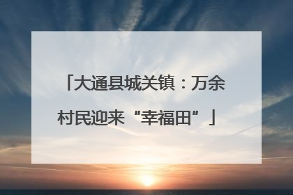 大通县城关镇：万余村民迎来“幸福田”