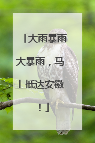 大雨暴雨大暴雨，马上抵达安徽！