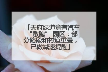 天府绿道竟有汽车“敞跑” 园区：部分路段和村道重叠，已做减速提醒