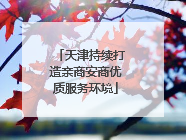 天津持续打造亲商安商优质服务环境
