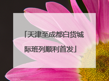 天津至成都白货城际班列顺利首发