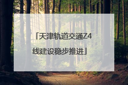 天津轨道交通Z4线建设稳步推进
