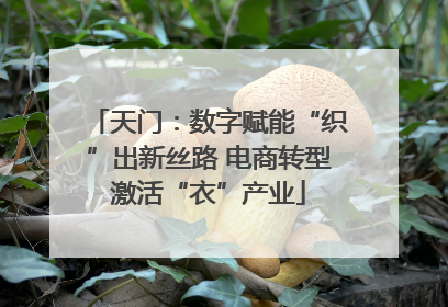 天门：数字赋能“织”出新丝路 电商转型激活“衣”产业