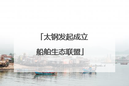 太钢发起成立船舶生态联盟