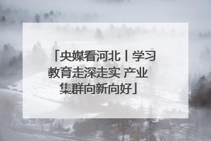 央媒看河北丨学习教育走深走实 产业集群向新向好