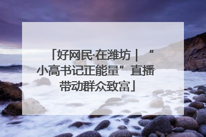 好网民·在潍坊｜“小高书记正能量”直播 带动群众致富