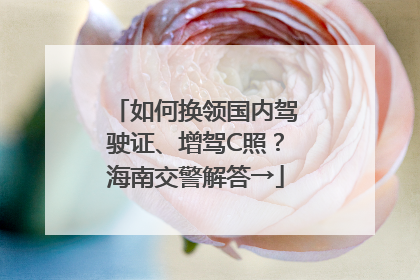 如何换领国内驾驶证、增驾C照？海南交警解答→