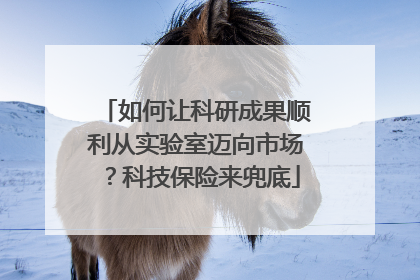 如何让科研成果顺利从实验室迈向市场？科技保险来兜底