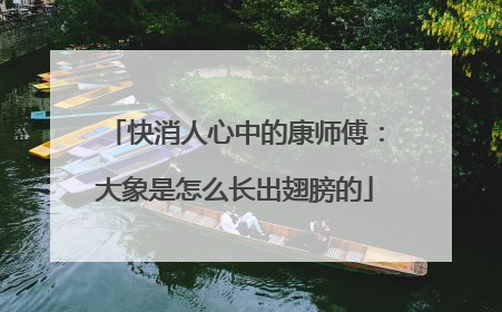 快消人心中的康师傅：大象是怎么长出翅膀的