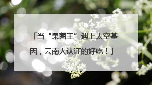 当“果菌王”遇上太空基因，云南人认证的好吃！