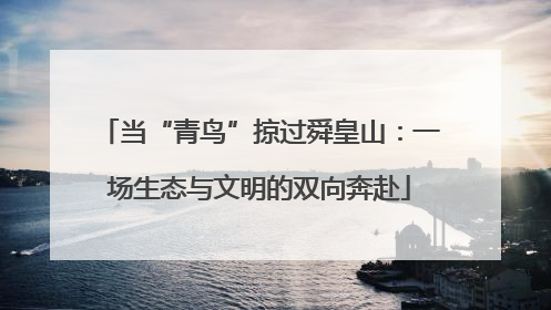 当“青鸟”掠过舜皇山：一场生态与文明的双向奔赴