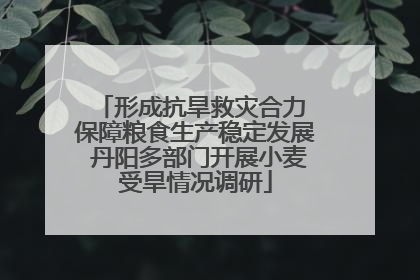 形成抗旱救灾合力 保障粮食生产稳定发展 丹阳多部门开展小麦受旱情况调研