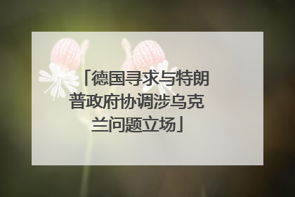德国寻求与特朗普政府协调涉乌克兰问题立场