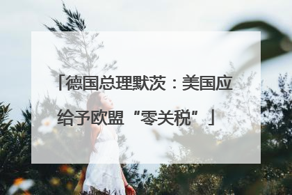 德国总理默茨：美国应给予欧盟“零关税”