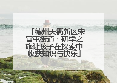 德州天衢新区宋官屯街道：研学之旅让孩子在探索中收获知识与快乐