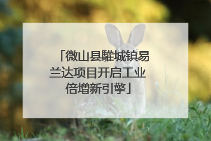 微山县驩城镇易兰达项目开启工业倍增新引擎