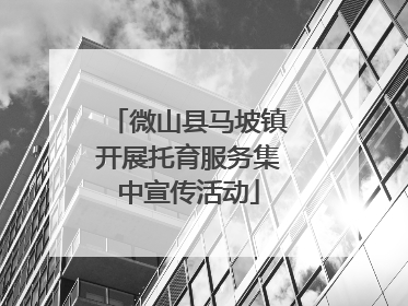微山县马坡镇开展托育服务集中宣传活动