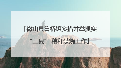 微山县鲁桥镇多措并举抓实 “三夏” 秸秆禁烧工作