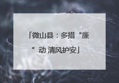 微山县：多措“廉”动 清风护安