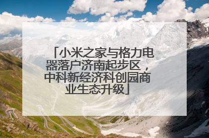 小米之家与格力电器落户济南起步区，中科新经济科创园商业生态升级