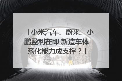 小米汽车、蔚来、小鹏盈利在即 新造车体系化能力成支撑？