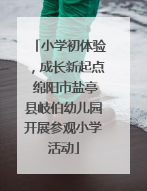 小学初体验，成长新起点 绵阳市盐亭县岐伯幼儿园开展参观小学活动