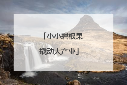 小小碧根果撬动大产业