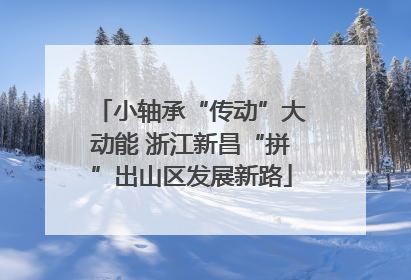 小轴承“传动”大动能 浙江新昌“拼”出山区发展新路