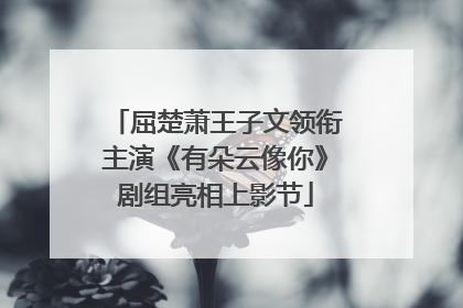 屈楚萧王子文领衔主演《有朵云像你》剧组亮相上影节