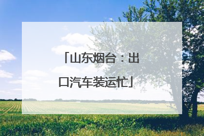 山东烟台：出口汽车装运忙
