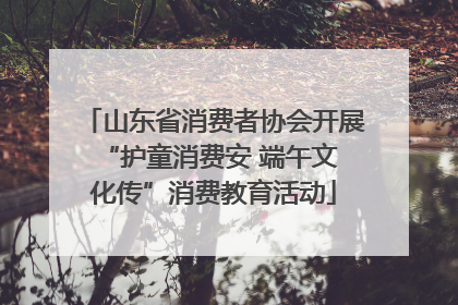 山东省消费者协会开展 “护童消费安 端午文化传”消费教育活动