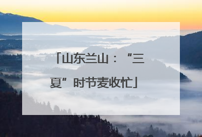 山东兰山：“三夏”时节麦收忙