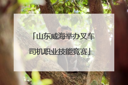 山东威海举办叉车司机职业技能竞赛