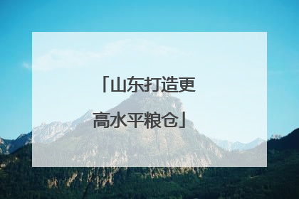 山东打造更高水平粮仓
