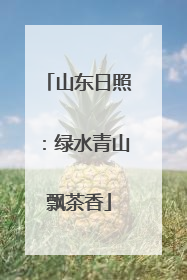 山东日照：绿水青山飘茶香