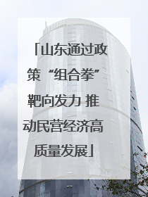 山东通过政策“组合拳”靶向发力 推动民营经济高质量发展