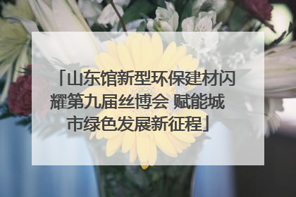 山东馆新型环保建材闪耀第九届丝博会 赋能城市绿色发展新征程