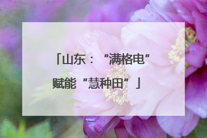 山东：“满格电”赋能“慧种田”