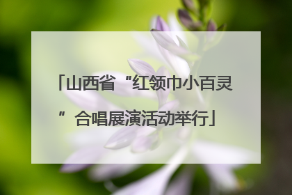 山西省“红领巾小百灵”合唱展演活动举行