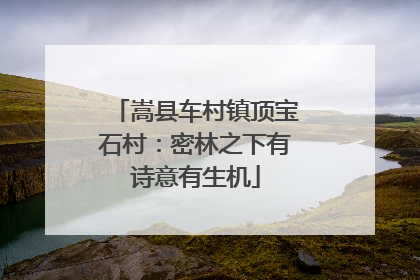 嵩县车村镇顶宝石村：密林之下有诗意有生机
