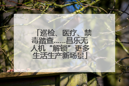 巡检、医疗、禁毒踏查……昌乐无人机“解锁”更多生活生产新场景