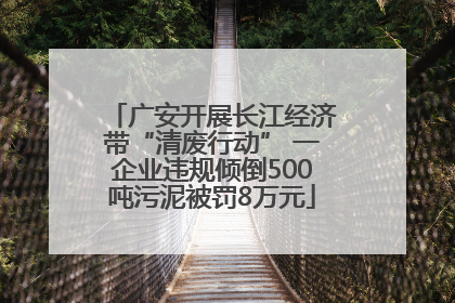 广安开展长江经济带“清废行动” 一企业违规倾倒500吨污泥被罚8万元