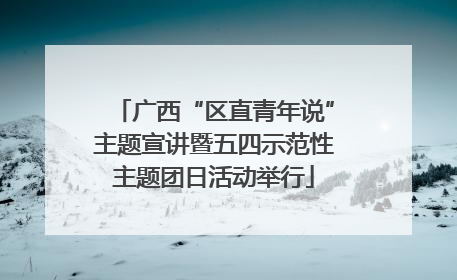 广西“区直青年说”主题宣讲暨五四示范性主题团日活动举行