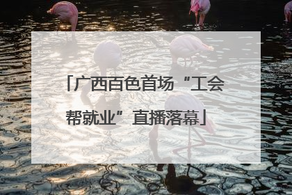 广西百色首场“工会帮就业”直播落幕